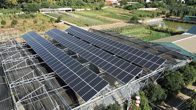 [大型地面水面电站]长沙望城丰收园49.5KW光伏发电项目